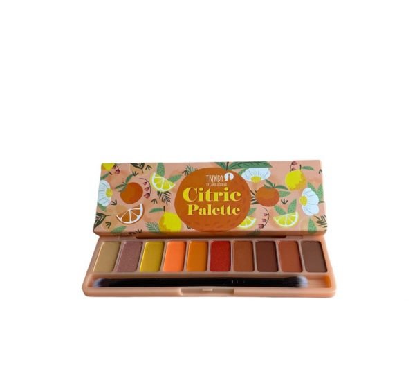 sombras-citric-palette-trendy-1
