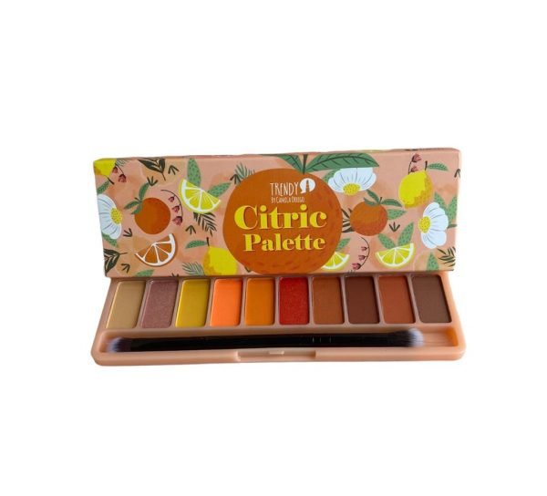 sombras-citric-palette-trendy-2